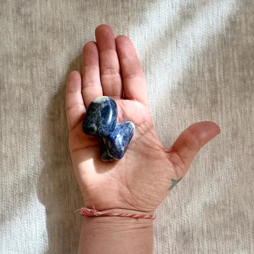 Sodalita / Sodalite Small Therapy Stones - Pack of 2