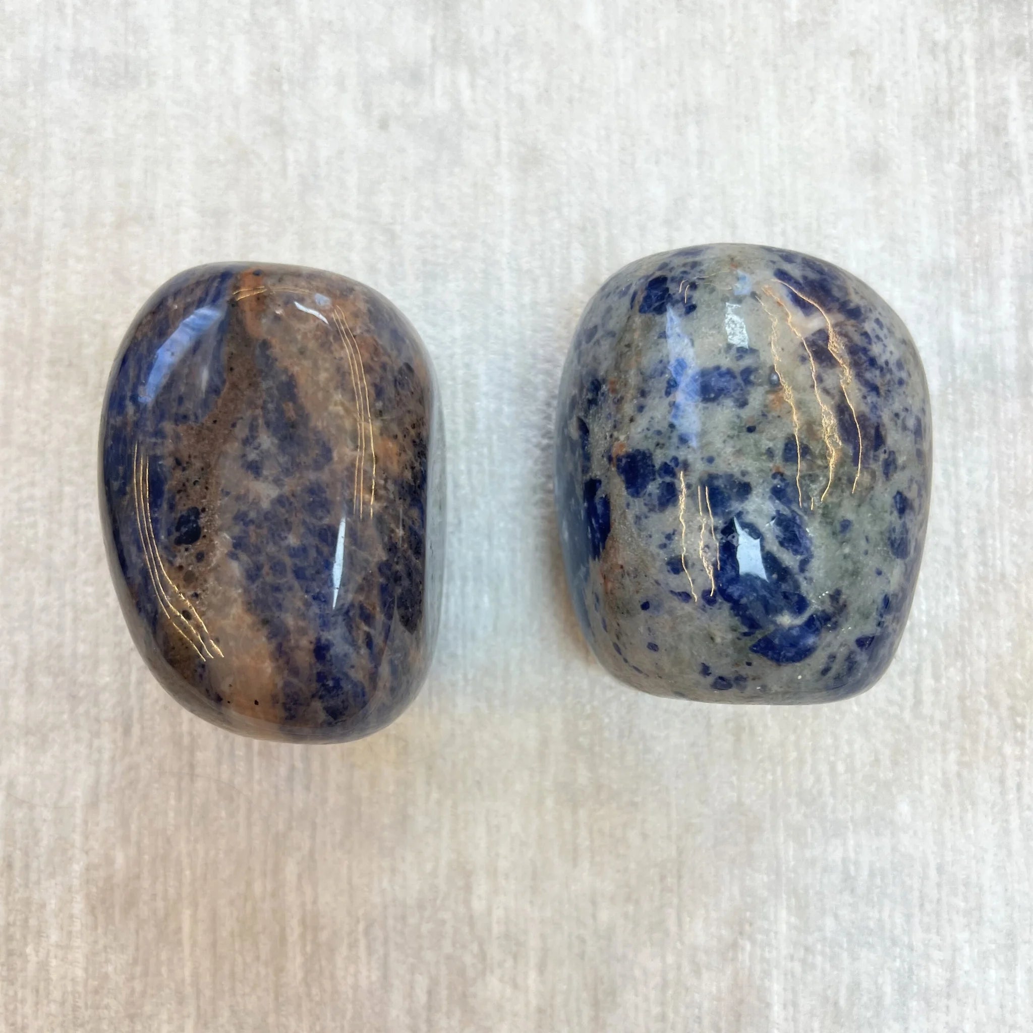 Sodalita / Sodalite Large Therapy Stones - Pack of 2