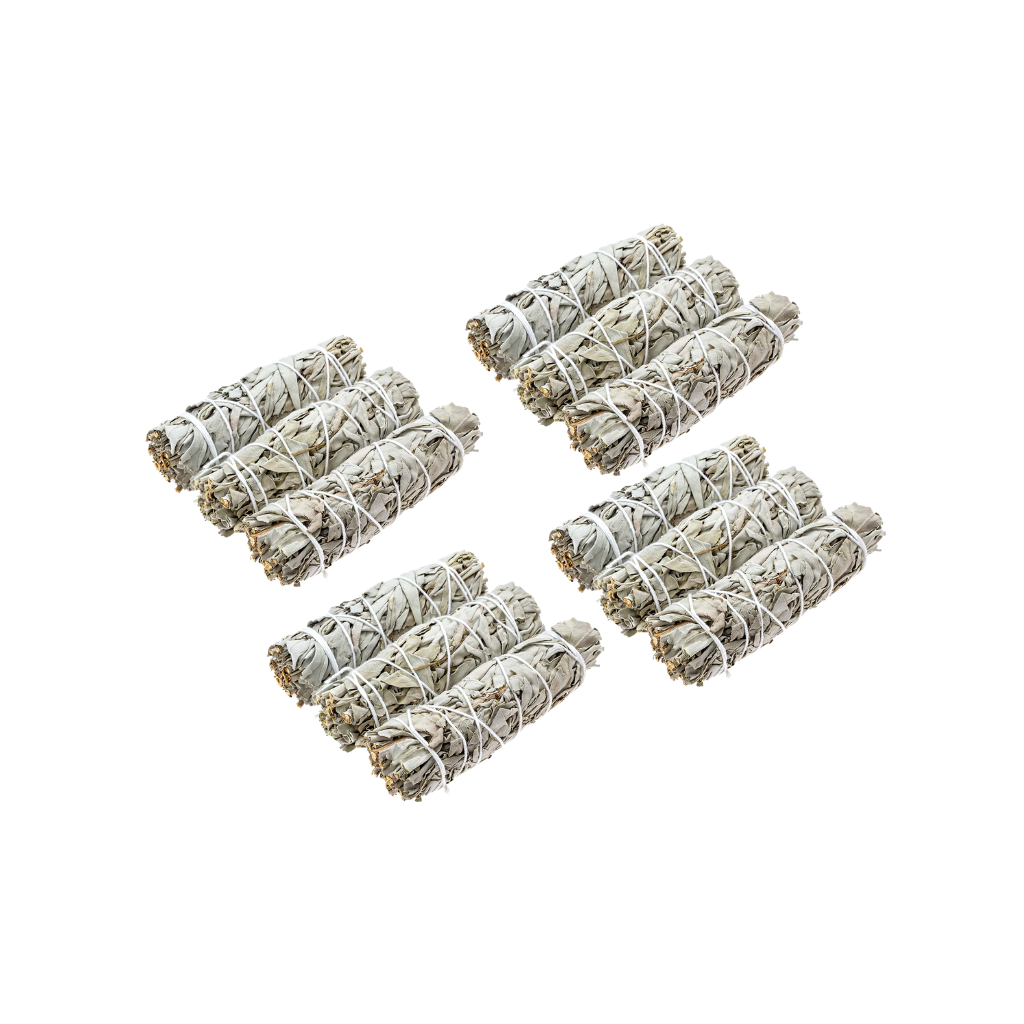 Sage (white) - Pack of 12